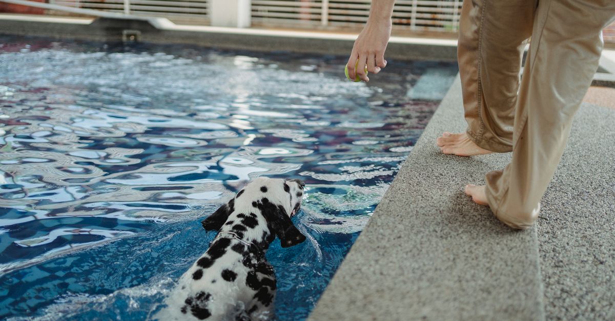 Key Supporting Documents Needed for Pool Safety Compliance
